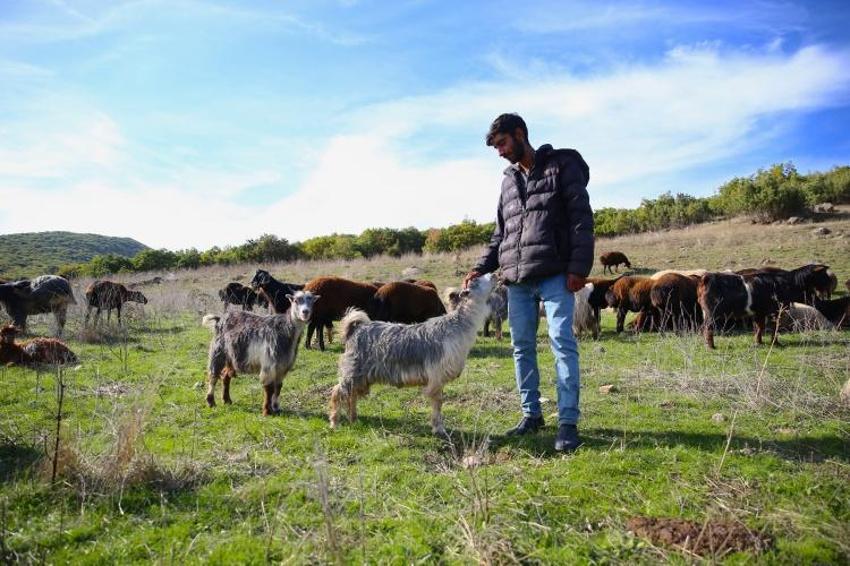 3 aile, 3 sürü, 1000 hayvan: Bingöl’den Ergani’ye uzun yürüyüş başladı