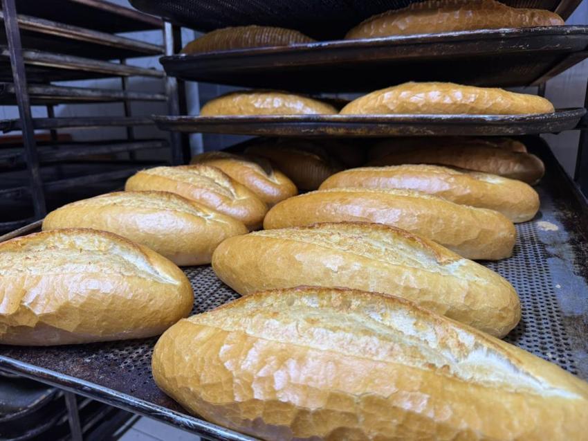 Fırıncıların savaşı vatandaşa yaradı: Antalya'da ekmek 10 lira!
