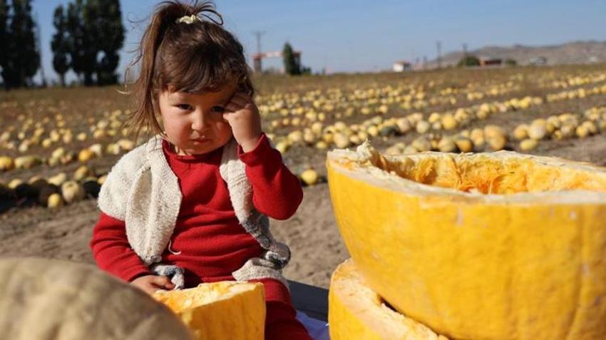 Türkiye'deki üretimin yarısını Nevşehir karşılıyor! Mısır, Azerbaycan ve Gürcistan'dan sipariş yağıyor