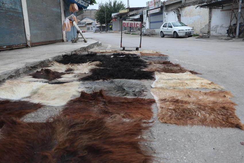 Türkiye’de onlardan başka elle diken kimse kalmadı: Avrupa’dan sipariş yağıyor!