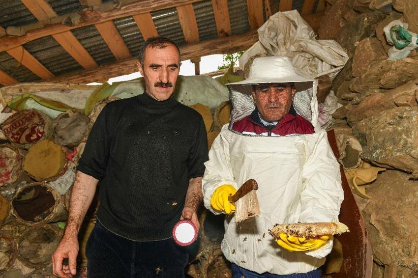 Van'ın yüksek rakımlı yaylalarında karakovan balının hasadı yapıldı