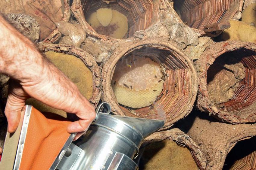Van'ın yüksek rakımlı yaylalarında karakovan balının hasadı yapıldı