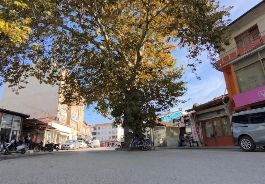 Tokat'ın sırrı, Sivas'ta karar çıktı! Gerçeği öğrenen donup kalıyor