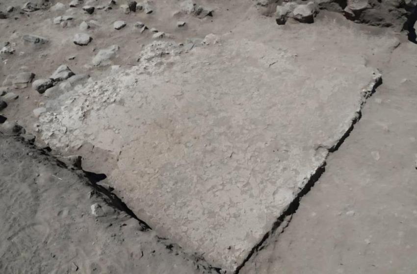Güney Kore'den geldiler, Kayseri'nin köyünde buldular! Dünyayı salladı, daha büyüğü yok