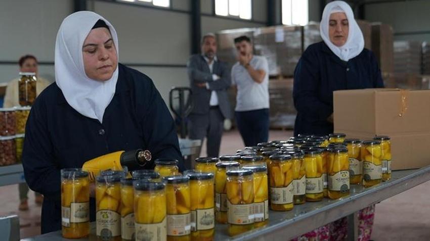Bursa’da ezber bozan üretim! Tarlada kalıyordu, şimdi kapış kapış satılıyor: Avrupa peşine düştü