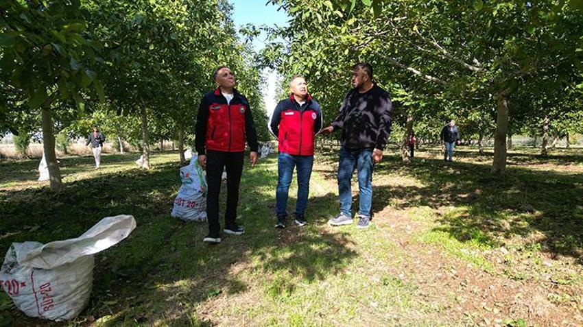 Afyonkarahisar'da yetişiyor, pasta ve tatlı ustaları almak için sıraya giriyor: Köyüne kurduğu tesisle bölge ekonomisinin lokomotifi haline geldi