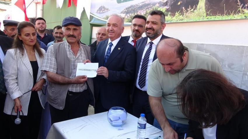 Giresun’da manda yetiştiriciliğine dev hibe: 25 üreticiye kurayla damızlık boğa dağıtıldı!