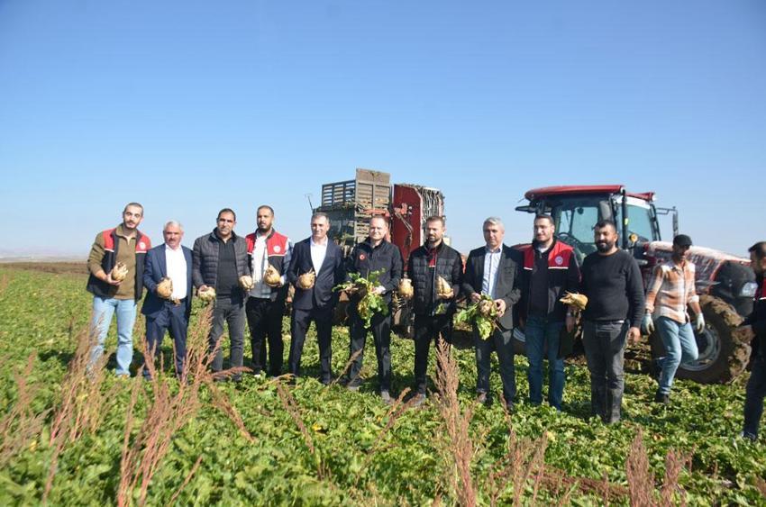 Bulanık'ta 370 çiftçinin şeker pancarı hasadı başladı