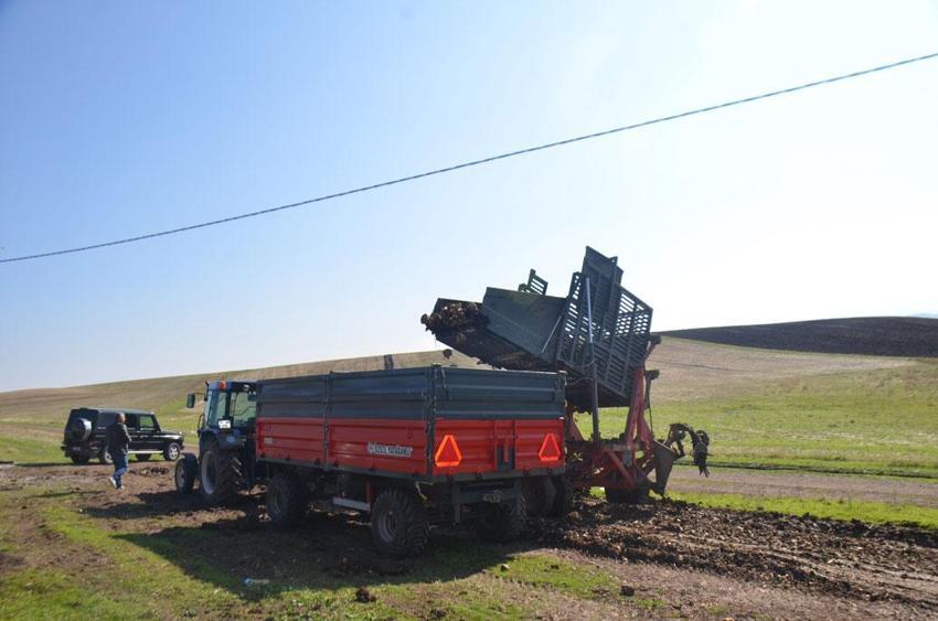Bulanık'ta 370 çiftçinin şeker pancarı hasadı başladı