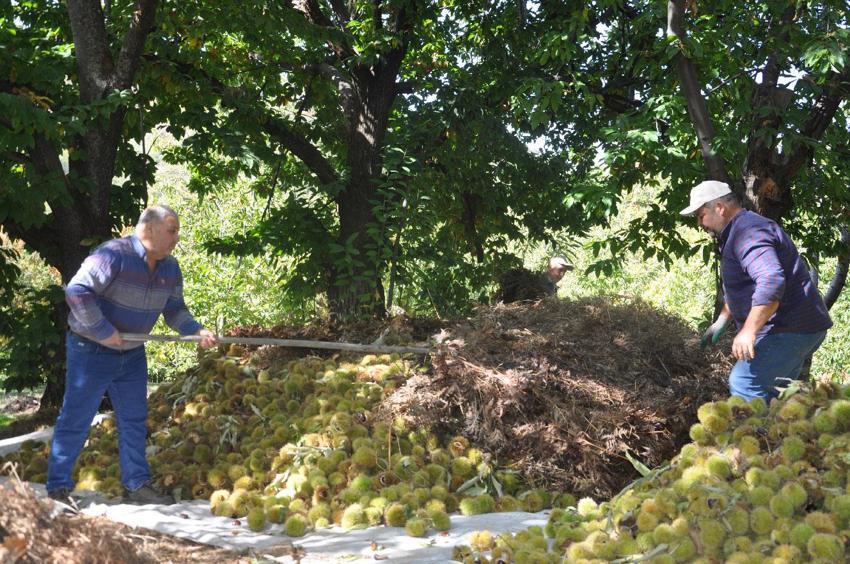 Ödemiş'te 150 yıllık geleneklerle üretiliyor! Başta İtalya ve Almanya olmak üzere Orta Doğu ülkelerine gönderiliyor