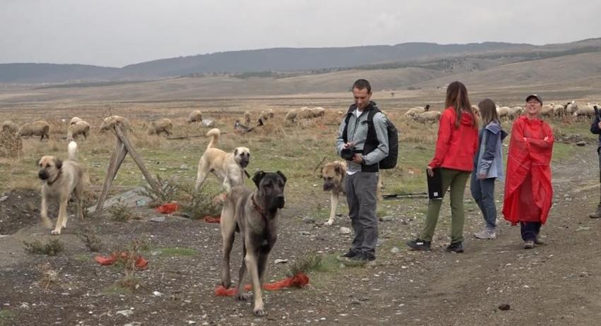 İtalya'dan Eskişehir'e gelip 1 ay gizlice izlediler: Böylesini görmedik
