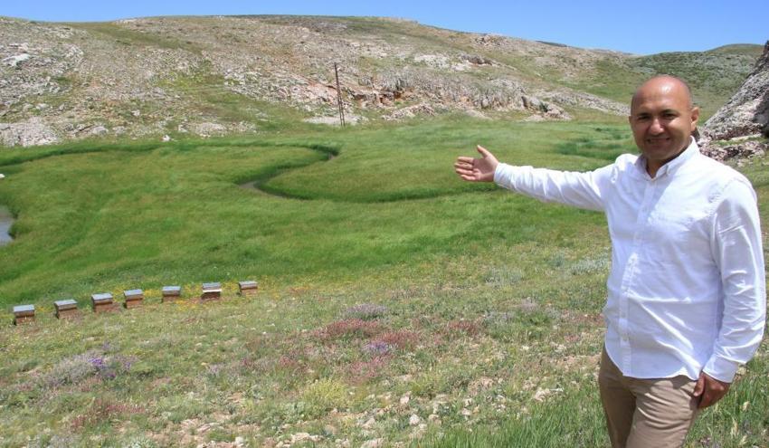 Mersin'den çıktı, dünya birincisi oldu! 300 yıllık sır bütün ülkeleri solladı