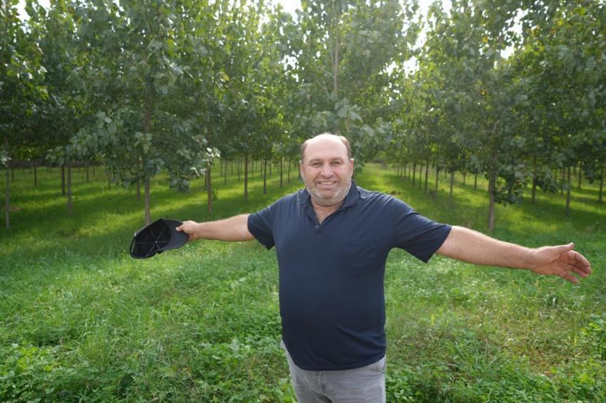 Çarşamba Ovası'nda üretim kabuk değiştirdi: Dev delta ormanlığa dönüştü, sebzenin yerini kavak ve fındık aldı!