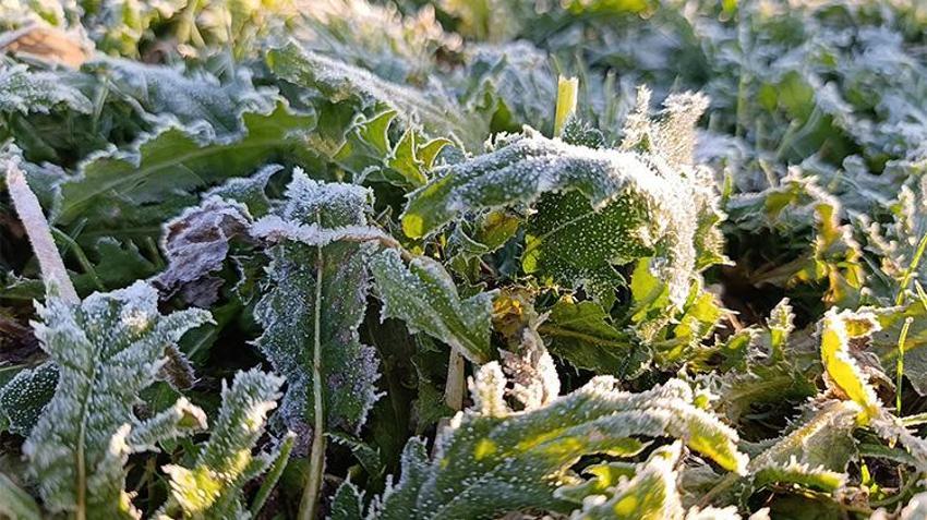 Kars'a kış erken geldi: Termometreler eksi 6'yı gördü, sabah mesaisi buz kazımayla başladı