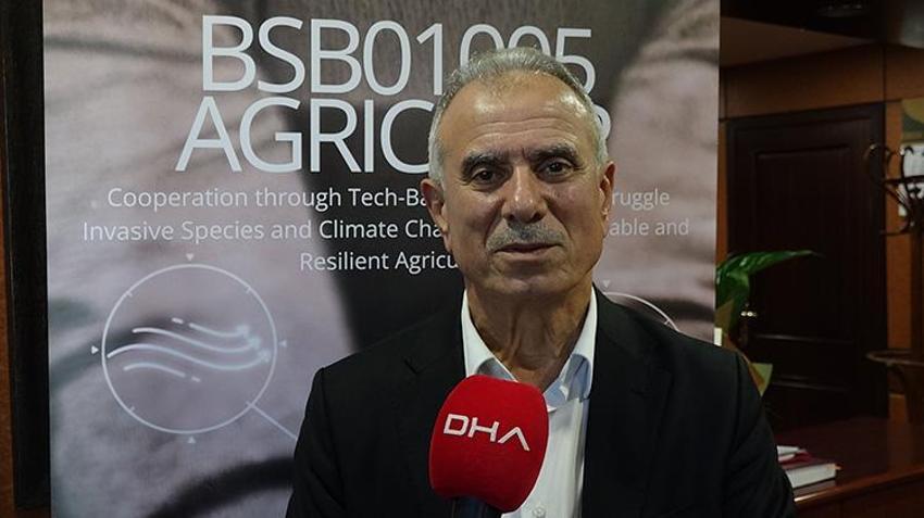 Karadeniz'de istilacı böcek kabusuna 'siber' kalkan: 'İstasyonlar sayesinde popülasyonu öğreceğiz'