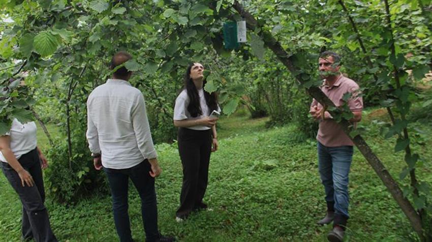 Karadeniz'de istilacı böcek kabusuna 'siber' kalkan: 'İstasyonlar sayesinde popülasyonu öğreceğiz'