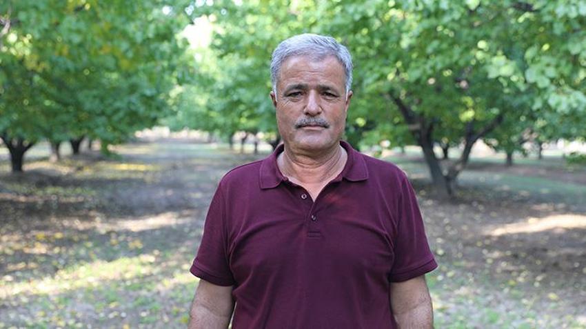 Emekli oldu, çorak araziyi servete çevirdi: 100 ağaçtan 700 ağaca ulaştı