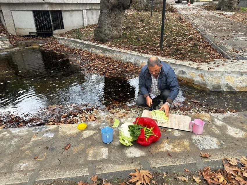 Bursa’da yılda 40 bin ton üretiliyor! Almanya ve Fransa’ya kadar ulaşıyor, sırrı ortaya çıktı