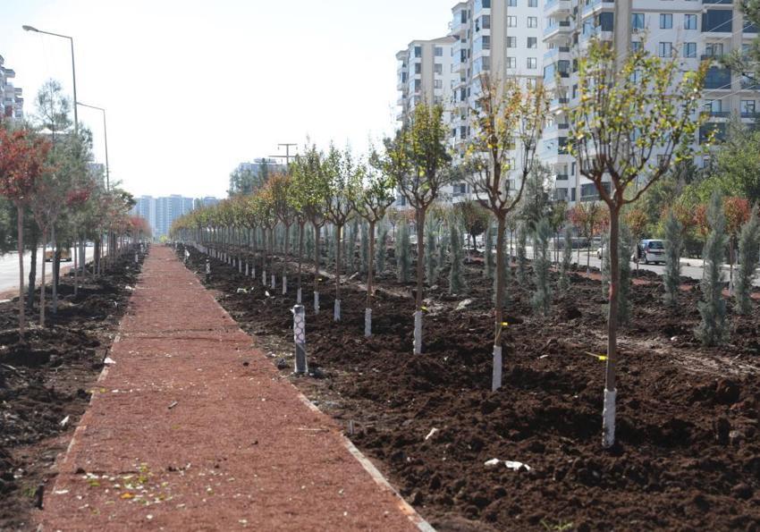 Diyarbakır'da yeşil seferberlik: 3 ayda binlerce fidan toprakla buluştu, yıl sonunda 580 bin metrekare alan yeşerecek!