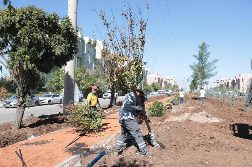 Diyarbakır'da yeşil seferberlik: 3 ayda binlerce fidan toprakla buluştu, yıl sonunda 580 bin metrekare alan yeşerecek!