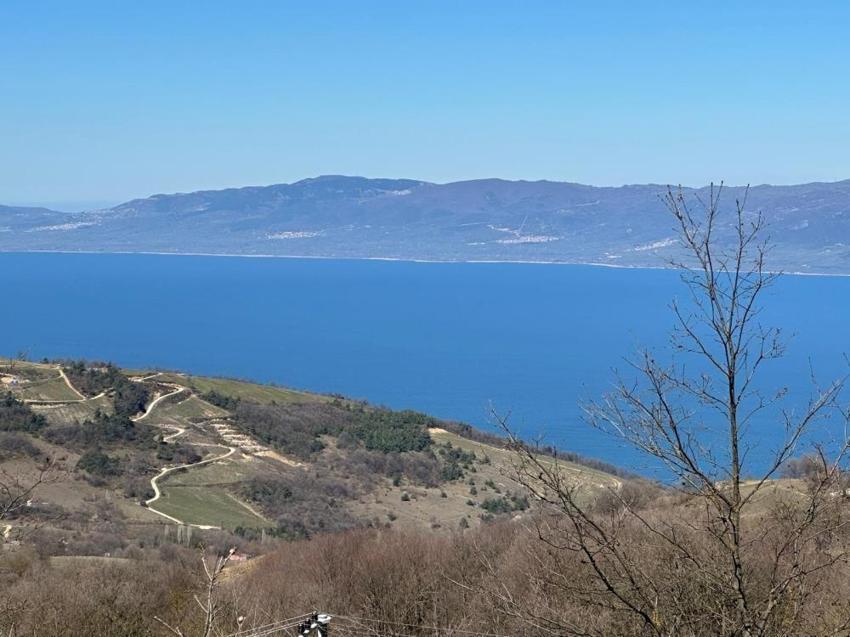 İznik Gölü ve Uludağ’ı aynı anda görüyor: Araziler 1 milyon liradan başlıyor