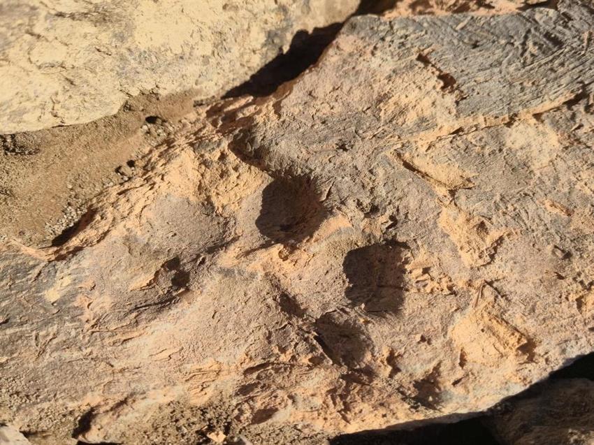 Kütahya’daki kazıda dikkat çeken buluntu: 4 bin yıllık pati izi