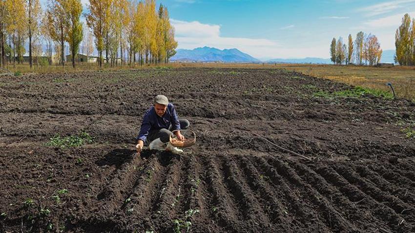 Marketini kapatıp yeğeninin tavsiyesiyle deneme amaçlı ekti! Sonucu herkesi şaşırttı: Gramı altınla yarışıyor