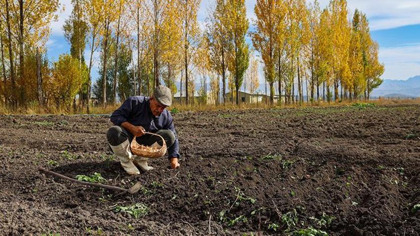 Marketini kapatıp yeğeninin tavsiyesiyle deneme amaçlı ekti! Sonucu herkesi şaşırttı: Gramı altınla yarışıyor