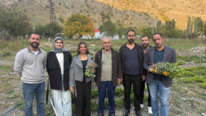 Zap Vadisi'nde mucize deneme: Hakkâri'de 1.350 rakımda yer fıstığı yetiştirildi!