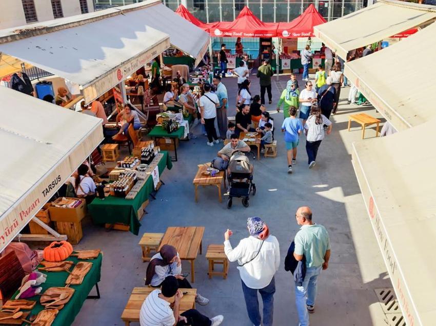 Tarsus'ta coğrafi işaretli Sarıulak zeytinine dev destek: Üreticiye 5 bin fidan müjdesi!