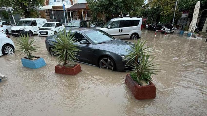 Cudi Dağı eteklerinde çobanlara uygulamalı sürü yönetimi eğitimi: Hayvan hastalıkları ve sürü sağlığı ele alınıyor