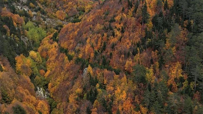 Bursa’nın saklı cennetinde büyüleyici görüntü! Zirvede kar, eteklerde sonbahar renkleri