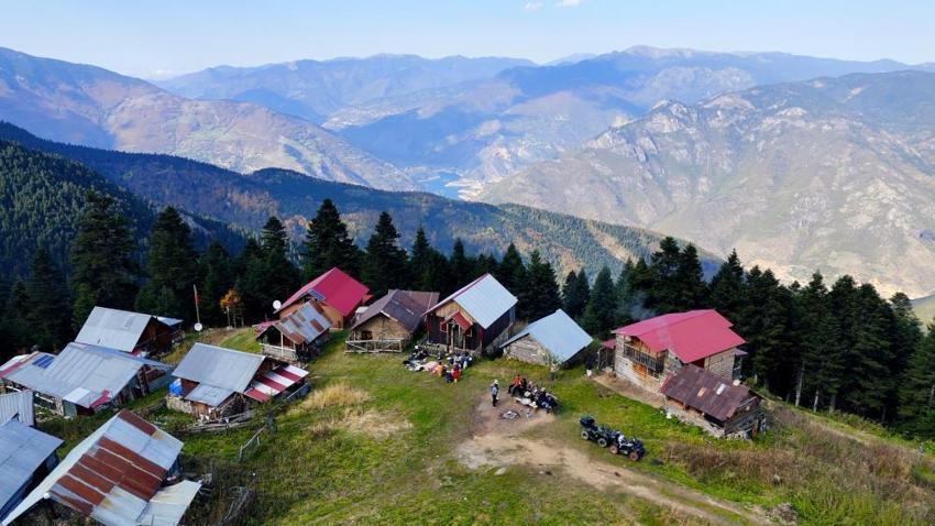 2 bin rakımlı yaylalarda renk cümbüşü! Torul'dan Kürtün'e nefis doğa turu!