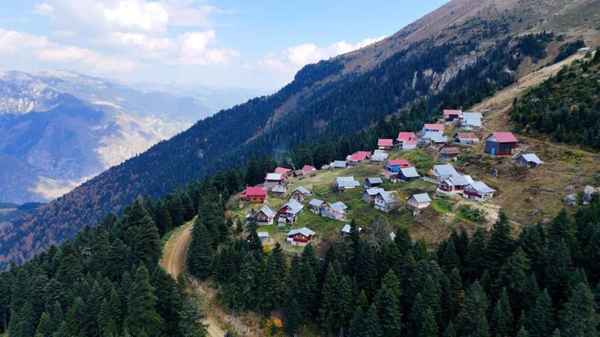 2 bin rakımlı yaylalarda renk cümbüşü! Torul'dan Kürtün'e nefis doğa turu!