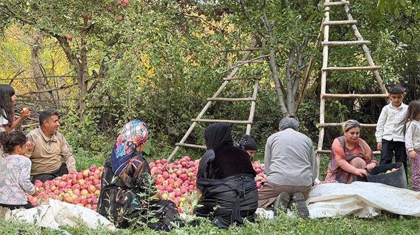 Hakkari'de devlet desteğiyle üretime başladı! Şimdi 8 üretim hacmine çıktı