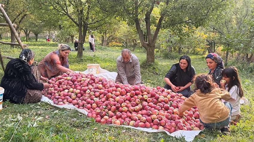 Hakkari'de devlet desteğiyle üretime başladı! Şimdi 8 üretim hacmine çıktı