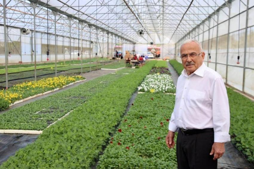 Ordu’da 550 bin çiçek için hazırlık: Kentin dört bir yanına dikilecek