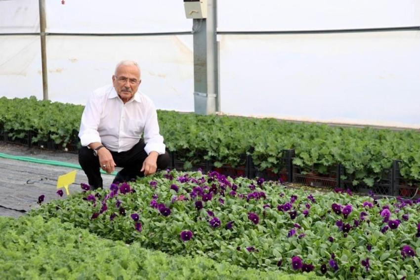 Ordu’da 550 bin çiçek için hazırlık: Kentin dört bir yanına dikilecek