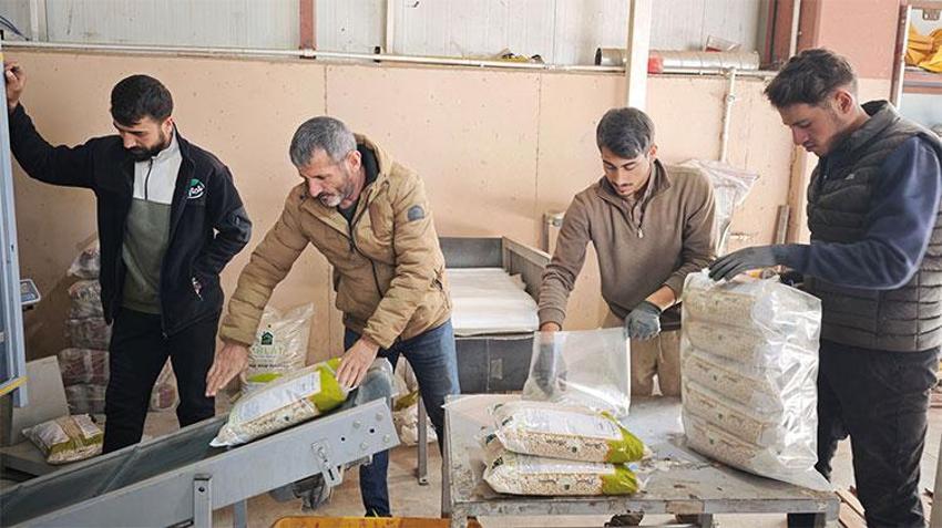 Bin 800 rakımda dev sektör kuruldu! Yıllık 30 bin ton üretim yapılıyor, çok sayıda kişi için ekmek kapısı oldu