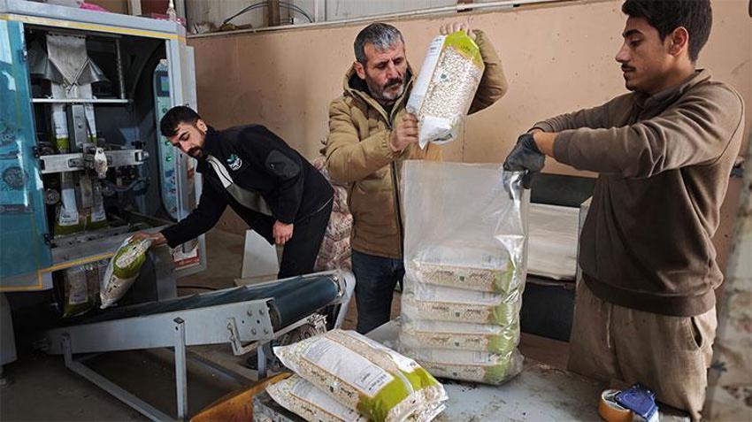 Bin 800 rakımda dev sektör kuruldu! Yıllık 30 bin ton üretim yapılıyor, çok sayıda kişi için ekmek kapısı oldu