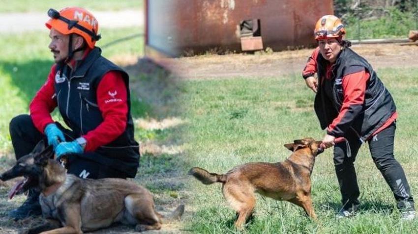 Arama kurtarma köpekleri Tayga ve Foxy görev yeterlilik sınavını geçti