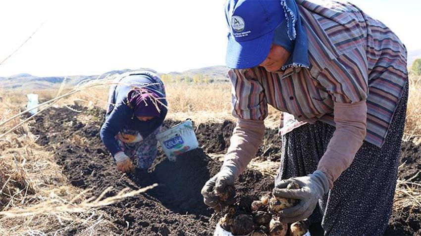 Antalya'da biyolojik tarım hamlesi: İlaçsız üretim başladı!
