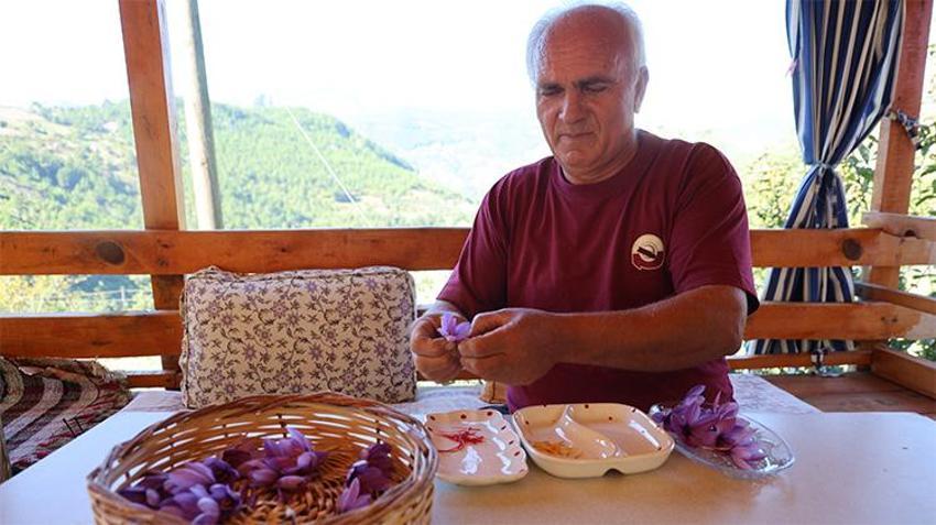 Adanalı üreticinin tarlası resmen para basıyor! Bir saksıyla başladı: Şimdi gramını 900 TL'den satıyor