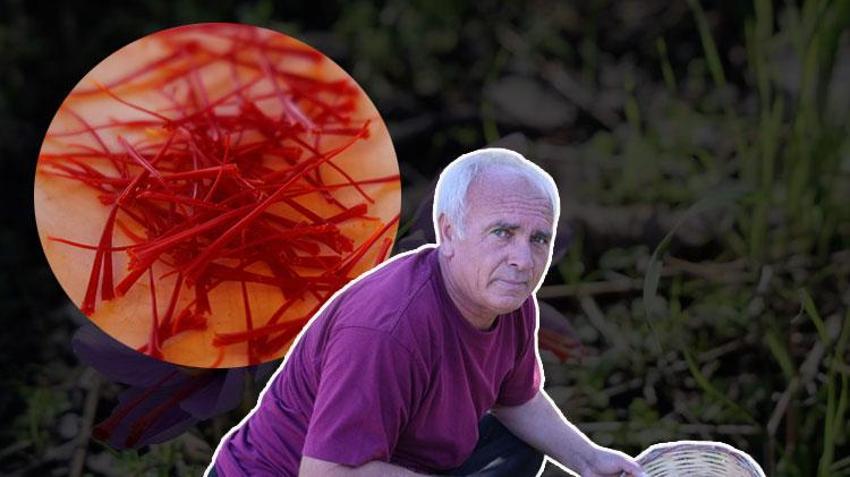 Adanalı üreticinin tarlası resmen para basıyor! Bir saksıyla başladı: Şimdi gramını 900 TL'den satıyor