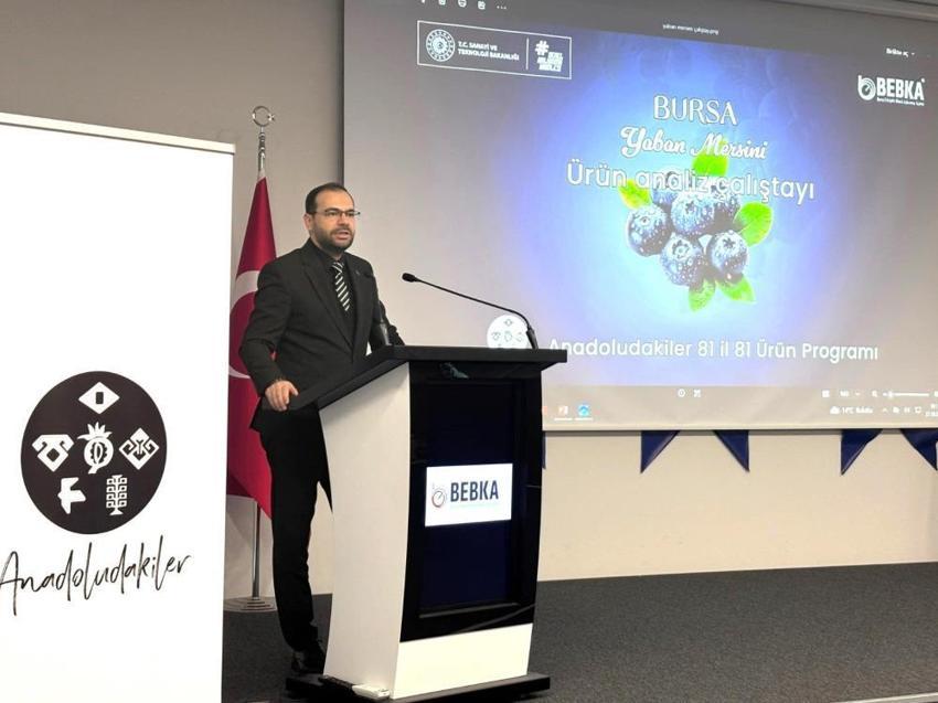 Bursa yaban mersininde markalaşma süreci başladı!