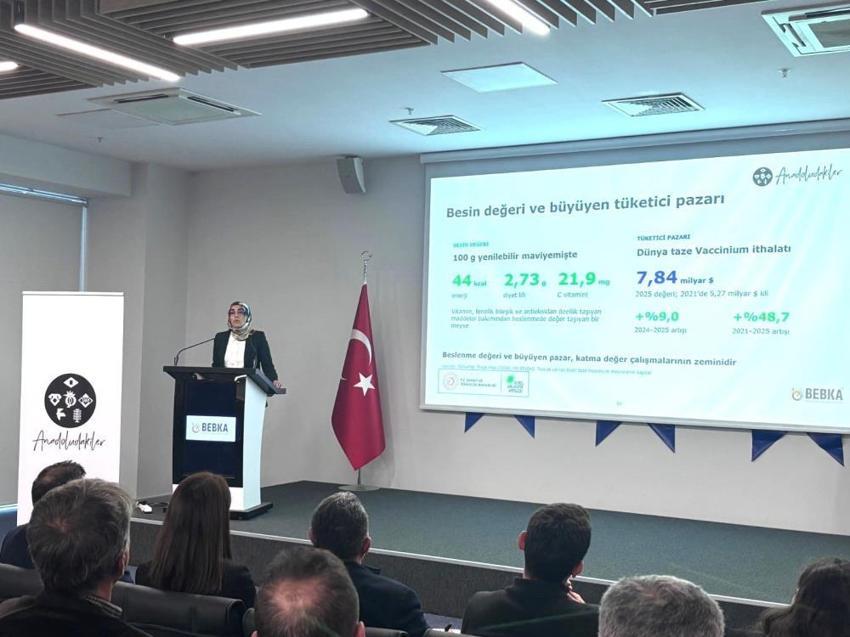 Bursa yaban mersininde markalaşma süreci başladı!