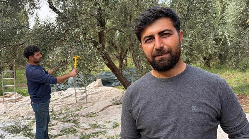 Mardin Derik'te 550 bin ağaçta dev hasat mesaisi! Türkiye'nin her yerinden sipariş yağıyor! Kilosu 400 liradan satılıyor