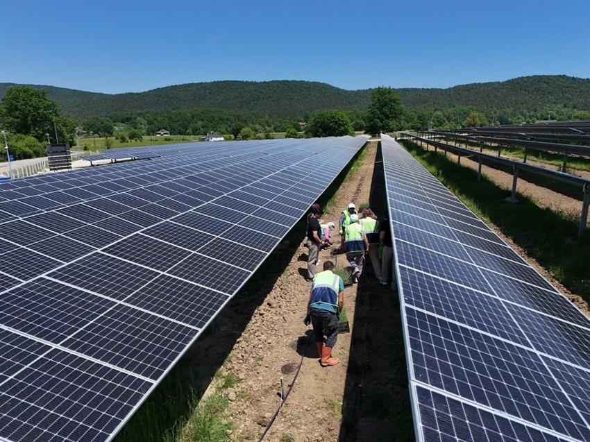 Türkiye’nin en büyük hareketli kamu GES’i Samsun’da: 185 milyon kilovatsaat üretim