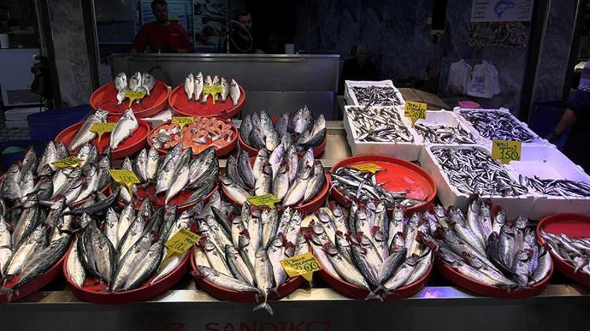 Palamut gidiyor, hamsi geliyor! Karadeniz'de balık sezonunda yeni dönem başladı