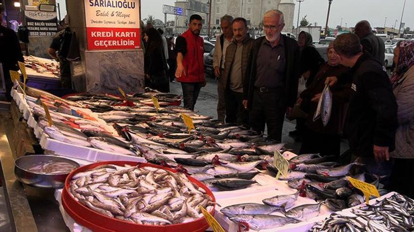 Palamut gidiyor, hamsi geliyor! Karadeniz'de balık sezonunda yeni dönem başladı